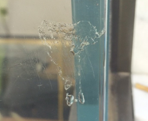 How to Remove Spatter/Splatter from Glass