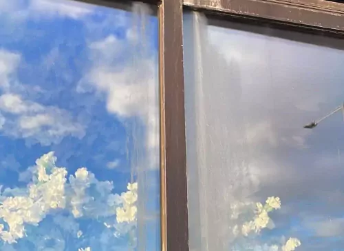 Surface Contamination